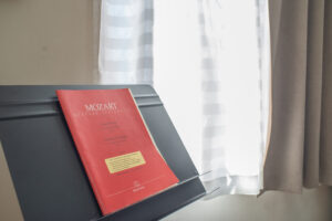 豊島区・北区からアクセス良好の音楽教室 なないろバイオリン教室のレッスン（オンラインレッスン）風景　