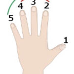 東京都豊島区・北区からアクセス良好の音楽教室 なないろバイオリン教室のなないろメソッド画像