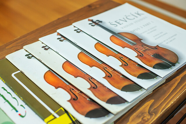 豊島区・北区からアクセス良好の音楽教室 なないろバイオリン教室のレッスン(オンライン)風景